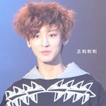 엑소좋으신분들!!