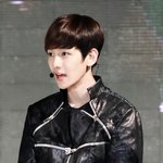 저희집강아지