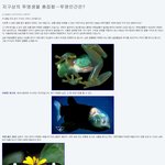 세계의 투명한<b>생물</b>들