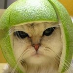 유디치과, <b>공정위</b>가 유디치과 손들어준 이유