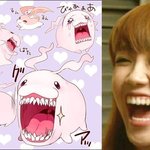 진짜 너므심심해서 우리핑순이들금지짤<b>올림</b> ㅠㅠㅠㅠㅠㅠㅠ