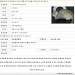 .)인천부평구 현재 유기동물보<b>호소</b>에있는 고양이들입니다. 공고일 지나면...
