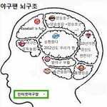 야구팬 뇌<b>구조</b>