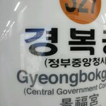 쿨한 백혈병환자와 서울의 야경