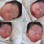 7살 통통청비의 친구가 되어주세요~~