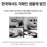 미확인<b>생물체</b>에 대응하는 그의 본 모습ㅋㅋㅋ