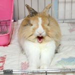 요시간이황금시간<b>인감</b>?