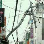★★진주시내 <b>전봇대</b>무너짐★★