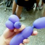 사진有 혐오 분노 <b>상승</b>) 중딩들 강아지 머리따기 ㅡㅡ