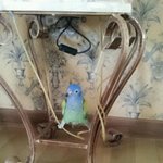 다리찢는 우리<b>집</b> <b>새</b> ㅋㅋㅋㅋㅋㅋㅋㅋㅋㅋㅋㅋㅋㅋㅋㅋ