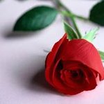 성년의 날, 센스있는 선물 best!