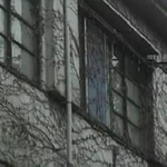 노랭이가 가져오는 무서운이야기[두번째이야기★]