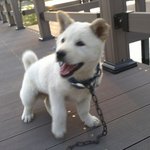 ♥<b>표정</b>많은 우리 진도리씨♥