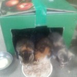 머<b>여한</b>.6시정도댄줄알앗는데..8시20분이네...