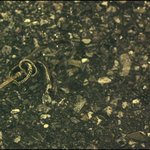 ★☆인피니트 추격자 뮤비 해석사진有☆★(앨범나눔)