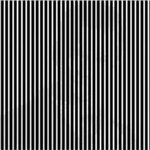 ★☆머리를 <b>좌우</b>로 흔들어야만 보이는사진☆★