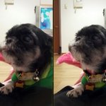 하컴퓨터의심판