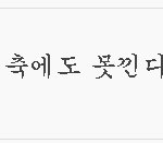 <b>쌍</b>커플 수술한 여자가 대부분이라는 증거.jpg