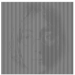 ☆★머리를 <b>좌우</b>로 흔들어야만 보이는 사진-2☆★