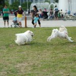 >>> [8탄!!!] 세종<b>대왕</b>의 한글사랑 <<<