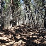 지리산 형제봉 트래킹.