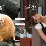 내 입술은 얼마나 잘나갈까? 잘나가는 입술을 골라봐요!