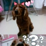 우리집진짜<b>개판</b>인데요
