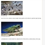 세상에서 제일 무서운 <b>생물</b> (혐오 주의 )