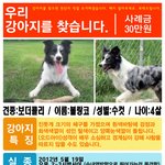 <b>블랑코</b> 찾는걸 도와주세요!