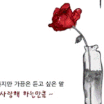 부부의 날 선물 준비하셨나요?