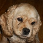 합의 해놓고 나중에 와서 <b>발뺌</b>해.