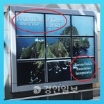 호주 시드니 <b>독도</b> 광고