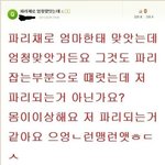 배꼽조심)!! 웃긴글