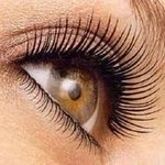 워터프루프 VS 스웨트프루프? 기름에 강한 스웨트 프루프에 대해...