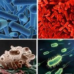 건강 지키는 다양한 데일리용법