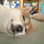 오오오! <b>대</b>딩인 나를 위한 프로젝트인가?