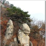 가지고싶다..(<b>필독</b> 사진有)