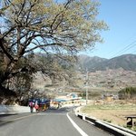 [경남 <b>하동</b>] 박경리 토지길