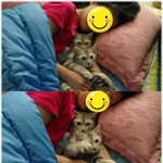 아옹다옹 천방지축 성장기 8탄