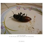 <b>벌레</b> 드신 어느...