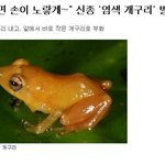 ♛<b>나도</b>얘키우고싶어♛