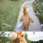 <b>피오</b>가 김치전을 이만큼사랑해요