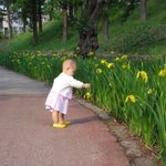 딸랑구 봄 <b>햇살</b> 맞이하러 나왔어요~