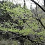 <b>레알</b> 섹시하고 신기한 다리
