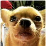 ★★★★★★나도 우리 애기 자랑이나 <b>한</b>번....1탄★★★★★★