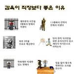 <b>감옥</b>이 직장보다 좋은 이유