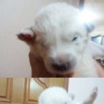 ♡<b>대두</b>,산만이,찌질이 육아일기♡2탄 !!!!