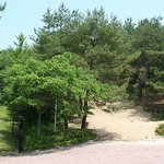 생로병사의 비밀에서 배운 건강 지키는 방법 <b>best</b> 5!!!