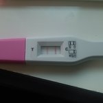 테스트기가 <b>두줄</b>이 떴는데요,,