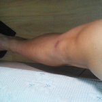 (사진有)<b>상체</b>는 사람 하체는 공룡?!?!?!?!?!?!?!?!